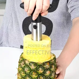 Pineapple Corer-Slicer