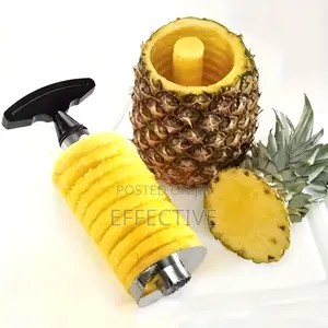 Pineapple Corer-Slicer