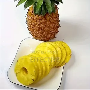 Pineapple Corer-Slicer