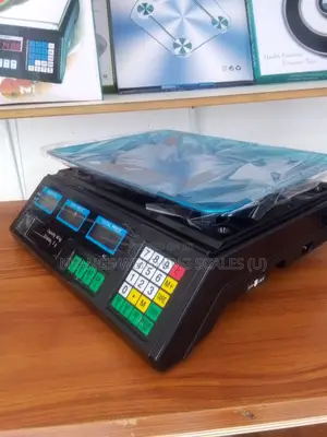Electronic Weighing Scale 40kg Weigh Dual Display Weighing Scale