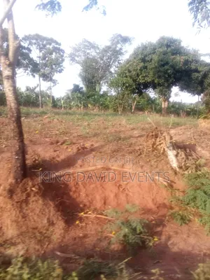 Plot 25 by 50 at 3m on Bombo Road Buyago Village