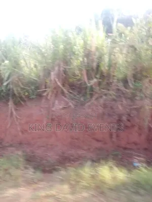 Plot for the at 3m , Size 25 by 50 on Bombo Road