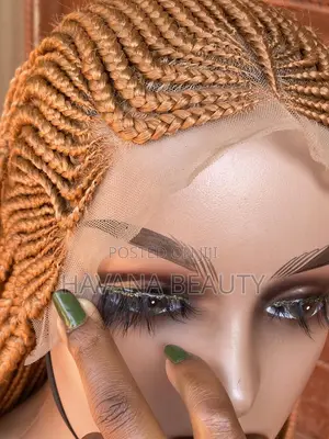 Braided Wig Long