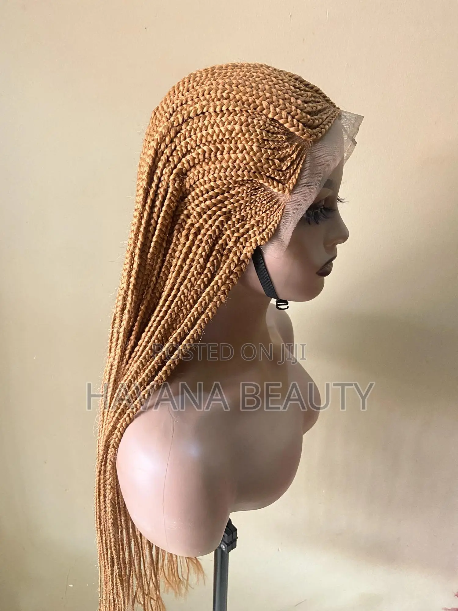 Braided Wig Long