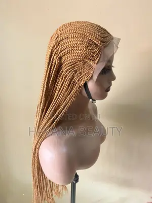Braided Wig Long