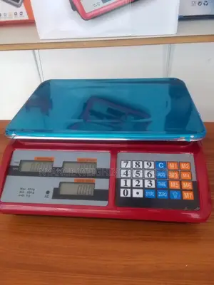Store Keeping Weighing Scale Weigh 40kg Digital Weighing Scale (2)