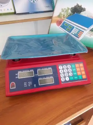 Digital Weighing Scale 40kg Weigh Chicken Weighing Scale