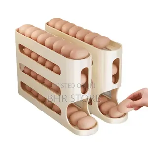 Egg Organizer