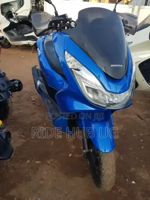 Honda 2013 Blue
