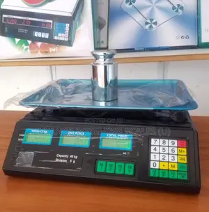Digital Weighing Scale Computing Weigh 40kg Kitchen Weighing Scale