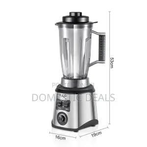 Raf Electric Commercial Blender 3.0l
