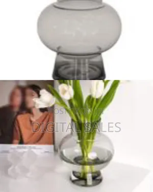 Smoke Belly Compact Tabletop Vase Hydroponics Flower Pot