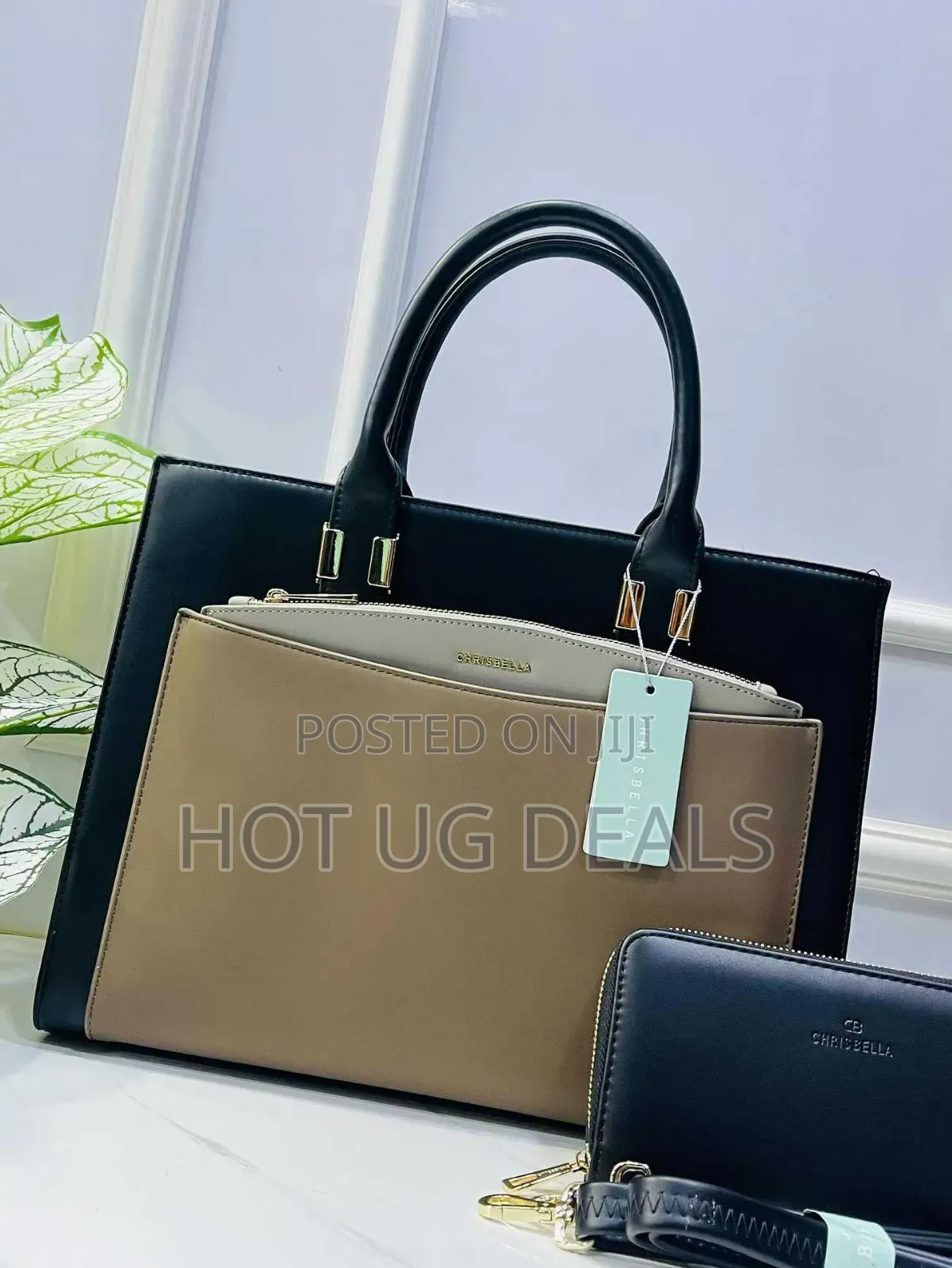Chrisbella 2pc Handbag