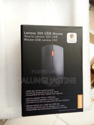 Lenovo 300 Wired Mouse