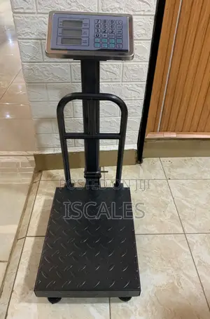 Store Keeping Weighing Scale 100kg Weigh Digital Weighing Scale