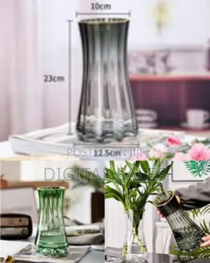 Golden Edge Hydroponic Vase for Living Room Decorations Transparent