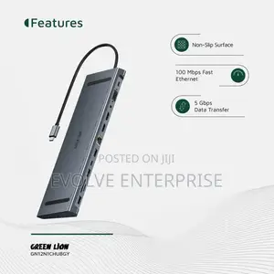 Green Lion 12-in-1 Hdmi Ethernet Usb-C Hub - Gray