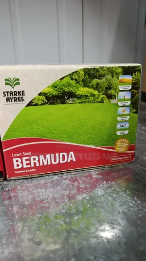 Bermuda 500gm Lown Seeds