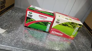 Bermuda 500gm Lown Seeds