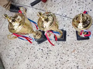 Trophies Gold Large Size