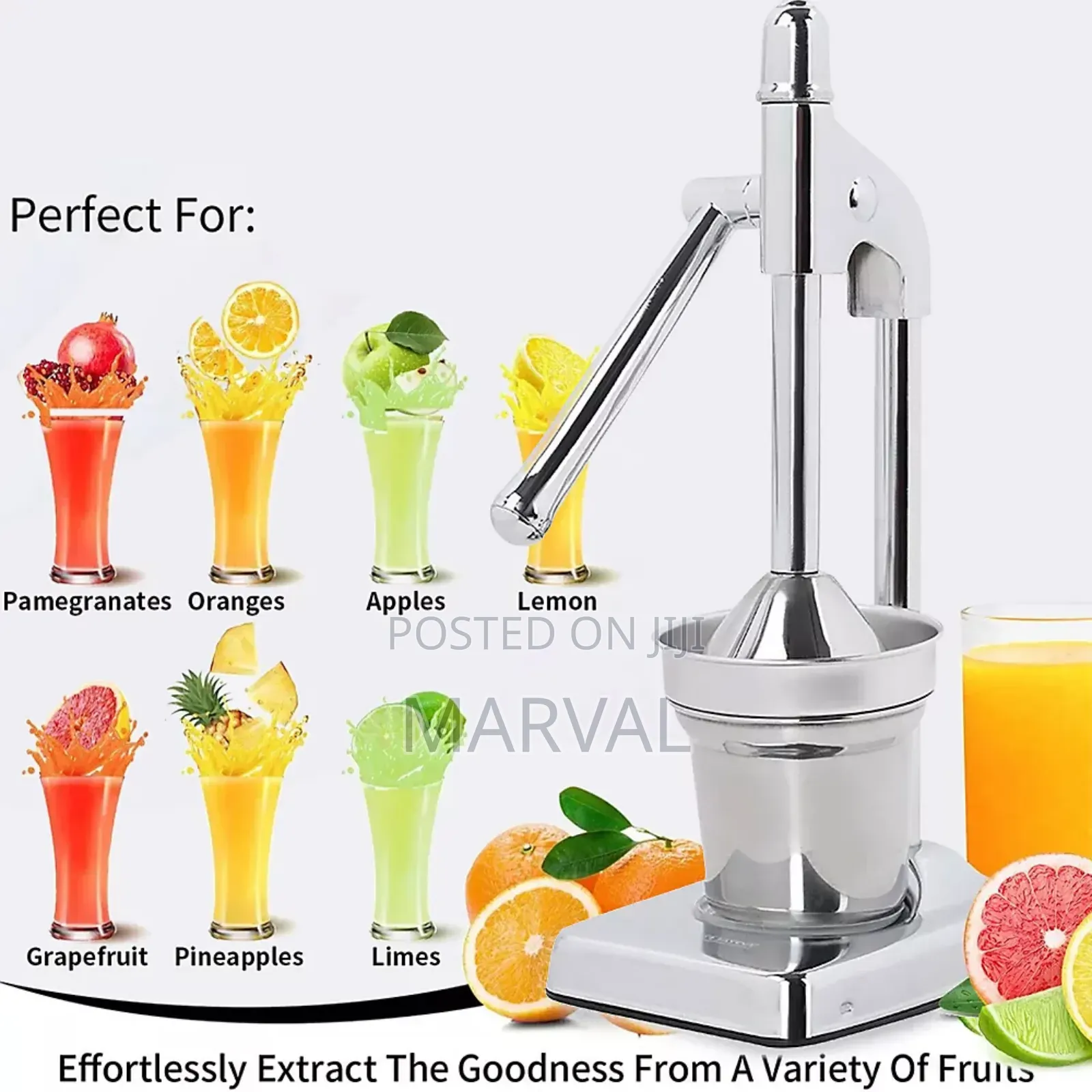 Manual Citrus Juicer Hand Press - Stainless Steel Fruit Squeezer