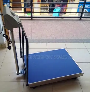 Digital Platform Weighing Scale 500kg Weigh Stainless Steal Weigh Scal