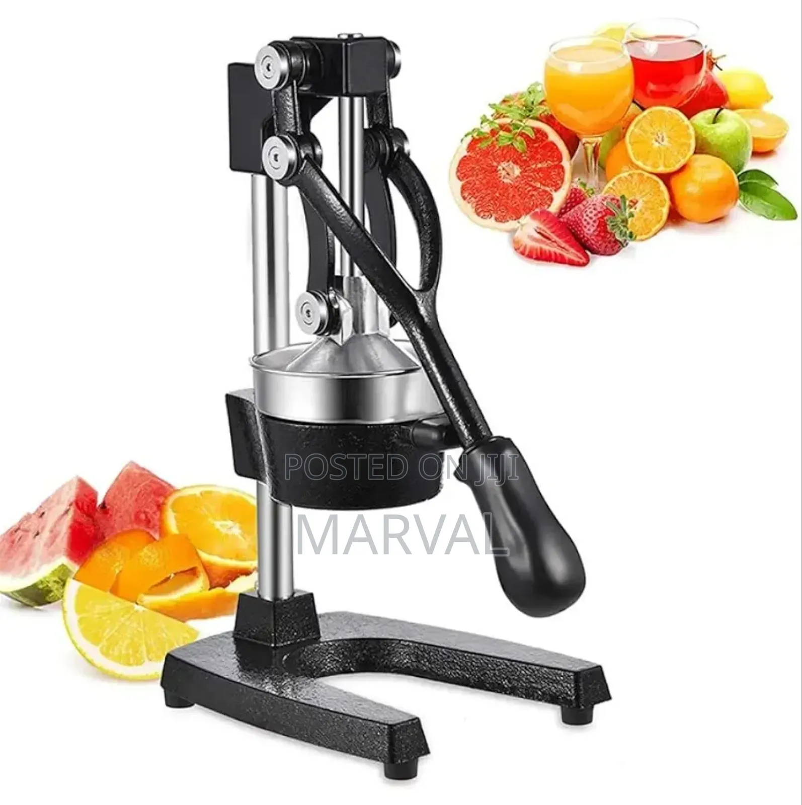 Heavy Duty Cast Iron Professional Juice