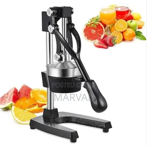 Heavy Duty Cast Iron Professional Juice