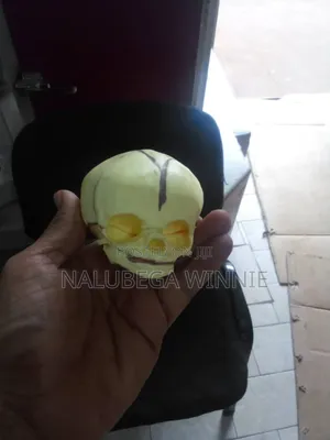 Infant Skull