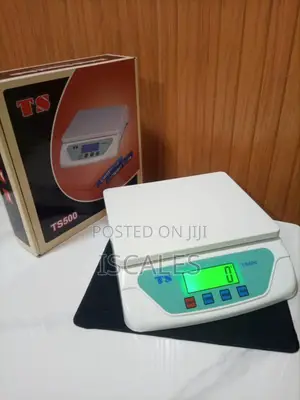 Digital Weighing Scale 30kg Weigh Portable Digital Weighing Scale
