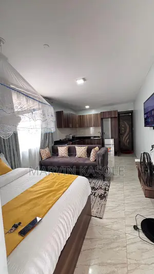 Studio Air B N B Ntinda