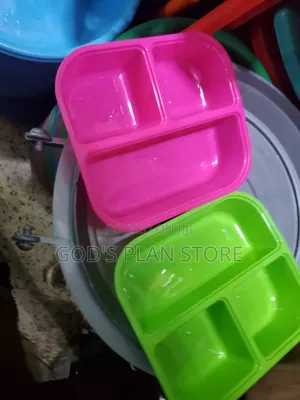 Plastic Plates With Partition 1pc
