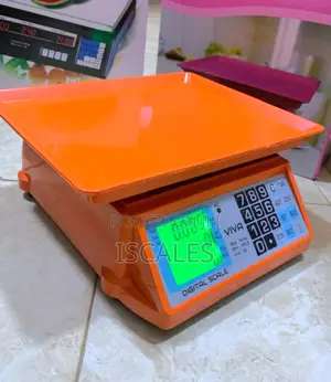 Tabletop Digital Weigh 40kg Weighing Scale Catering Weighing Scale