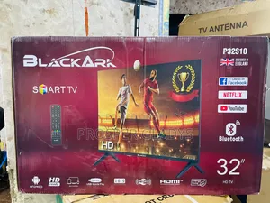 32 Black Ark Smart Digital Flat Screen Flameless