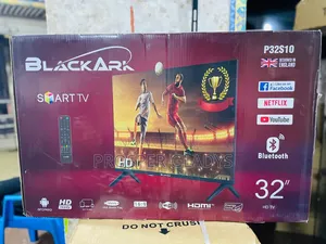 32 Black Ark Smart Digital Flat Screen Flameless