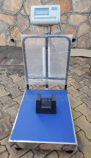 Industrial Weighing Scale 300kg Weigh Digital Platform Weighing Scale