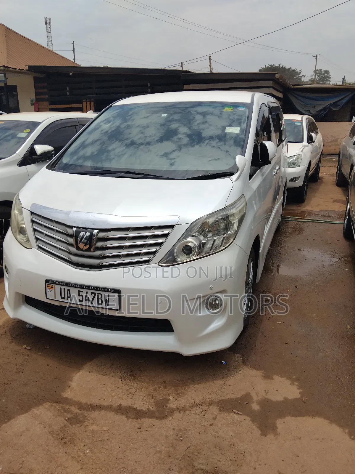 Alphard for Hire