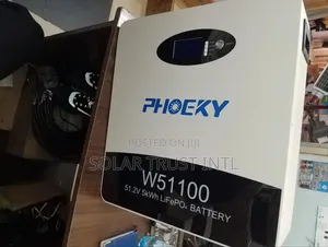 Phoeky Lifep04 Battery