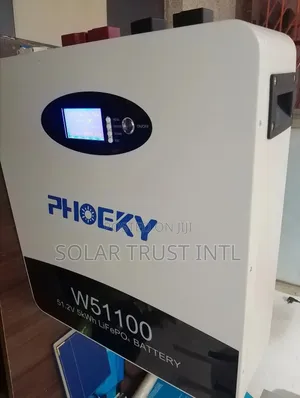 Phoeky Lifep04 Battery