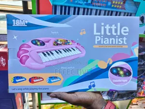 Battery Operated Little Pianist