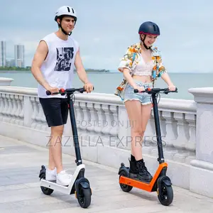 10inch Tire High Speed 2 Wheel Electric Scooter
