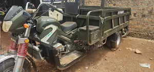 Tricycle 2024 Green