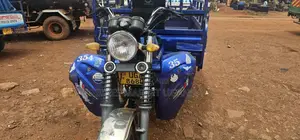 Tricycle 2024 Blue