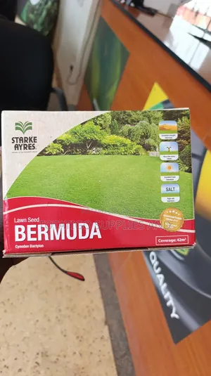 Lawn Grass Seeds Original-500g