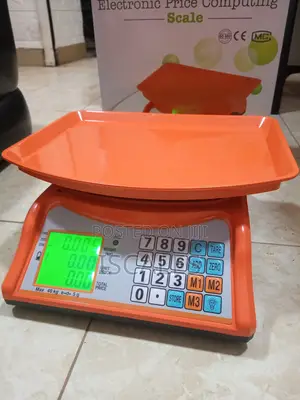 Electronic Weighing Scale Double 40kg Weigh Display Weighing Scale
