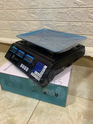 Pricing Weighing Scale 40kg Weigh Display Dual Digital Weighing Scale