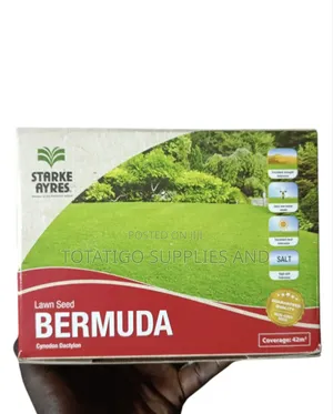 Bermuda Lawn Seeds-500g