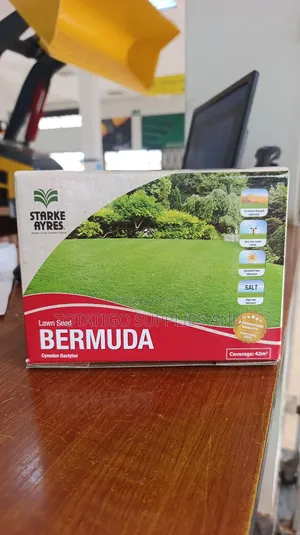 Bermuda Lawn Seeds -500g New