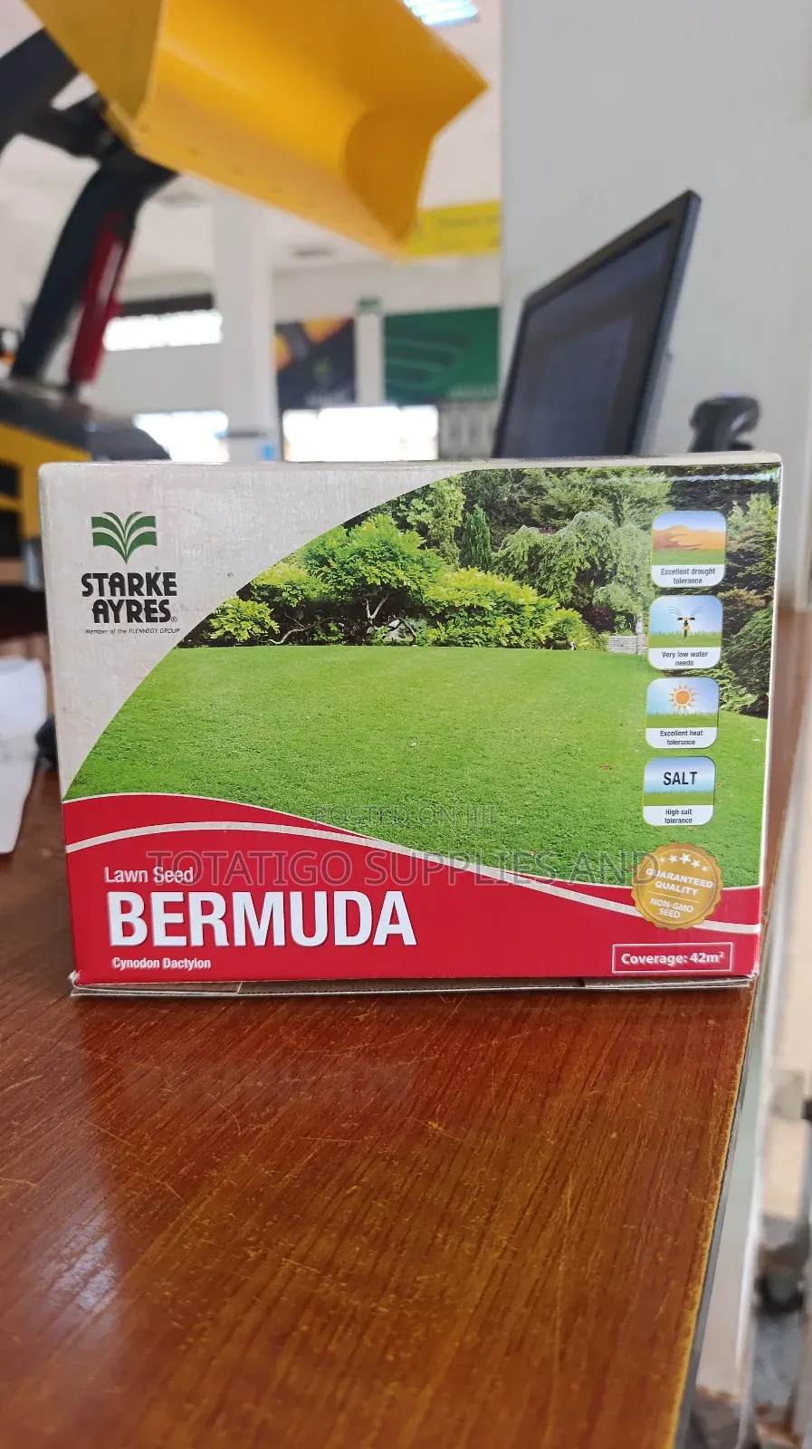 Bermuda Lawn Seeds -500g New