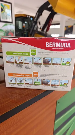 Bermuda Lawn Seeds -500g New